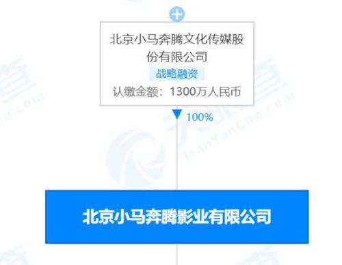 小馬奔騰影業被強制執行3852萬 昔日榮光何以褪色？